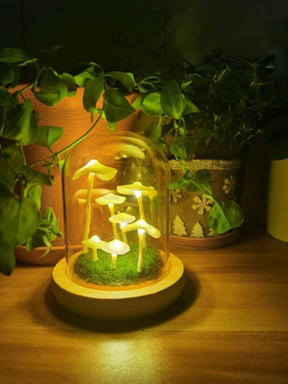 MycoJar - DIY Paddenstoelen in een Glas