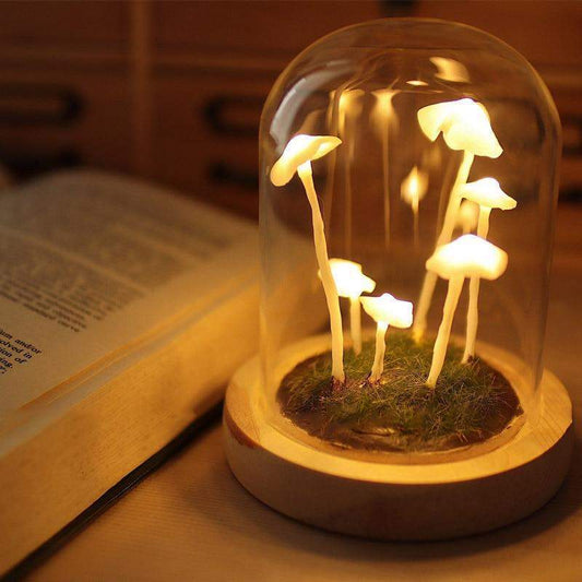 MycoJar - DIY Paddenstoelen in een Glas