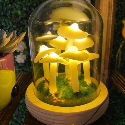 MycoJar - DIY Paddenstoelen in een Glas