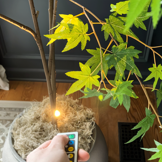 VividBeam  - Mini Dimbare LED Spotlight voor in Plantenbak en Kunst  Draadloze Accentverlichting voor Sfeer Thuis & Kantoor